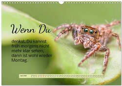 Innenansicht 6