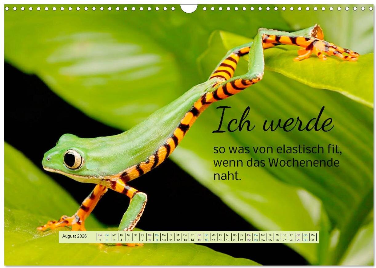 lesen