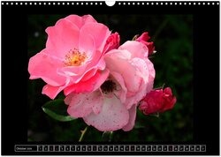 Innenansicht 12