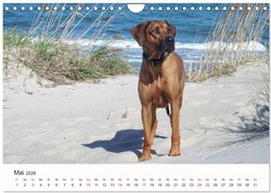 Innenansicht 7