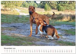 Innenansicht 13