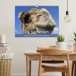 Innenansicht 2