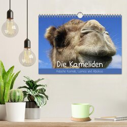 Innenansicht 2