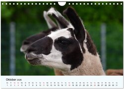 Innenansicht 12