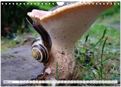 Innenansicht 5