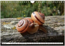 Innenansicht 6