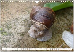 Innenansicht 9