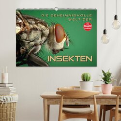 Innenansicht 2