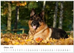 Innenansicht 12
