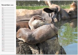 Innenansicht 13