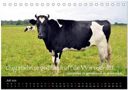 Innenansicht 9