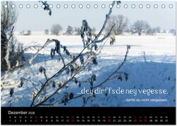 Innenansicht 14