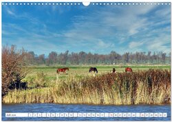 Innenansicht 9