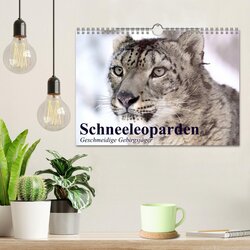 Innenansicht 2