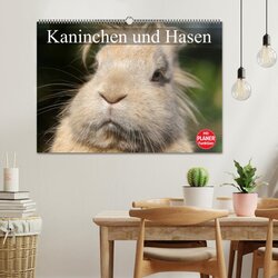 Innenansicht 2