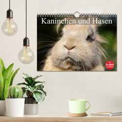 Innenansicht 2