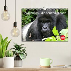 Innenansicht 2