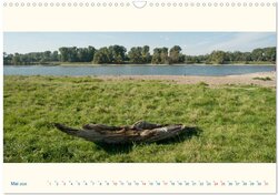 Innenansicht 7