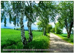 Innenansicht 7