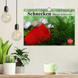 Innenansicht 2