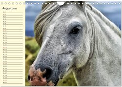 Innenansicht 10
