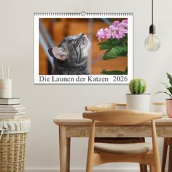 Innenansicht 2
