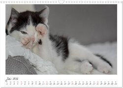 Innenansicht 9