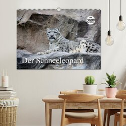Innenansicht 2