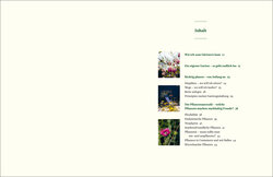 Innenansicht 1