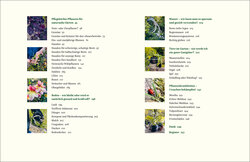 Innenansicht 2