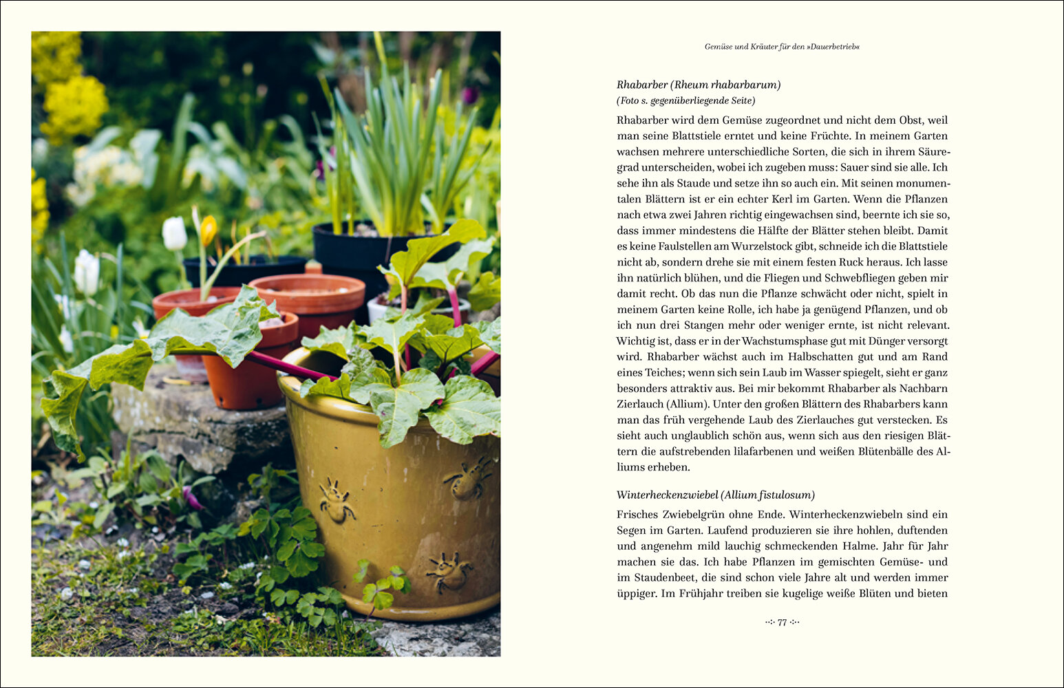 lesen