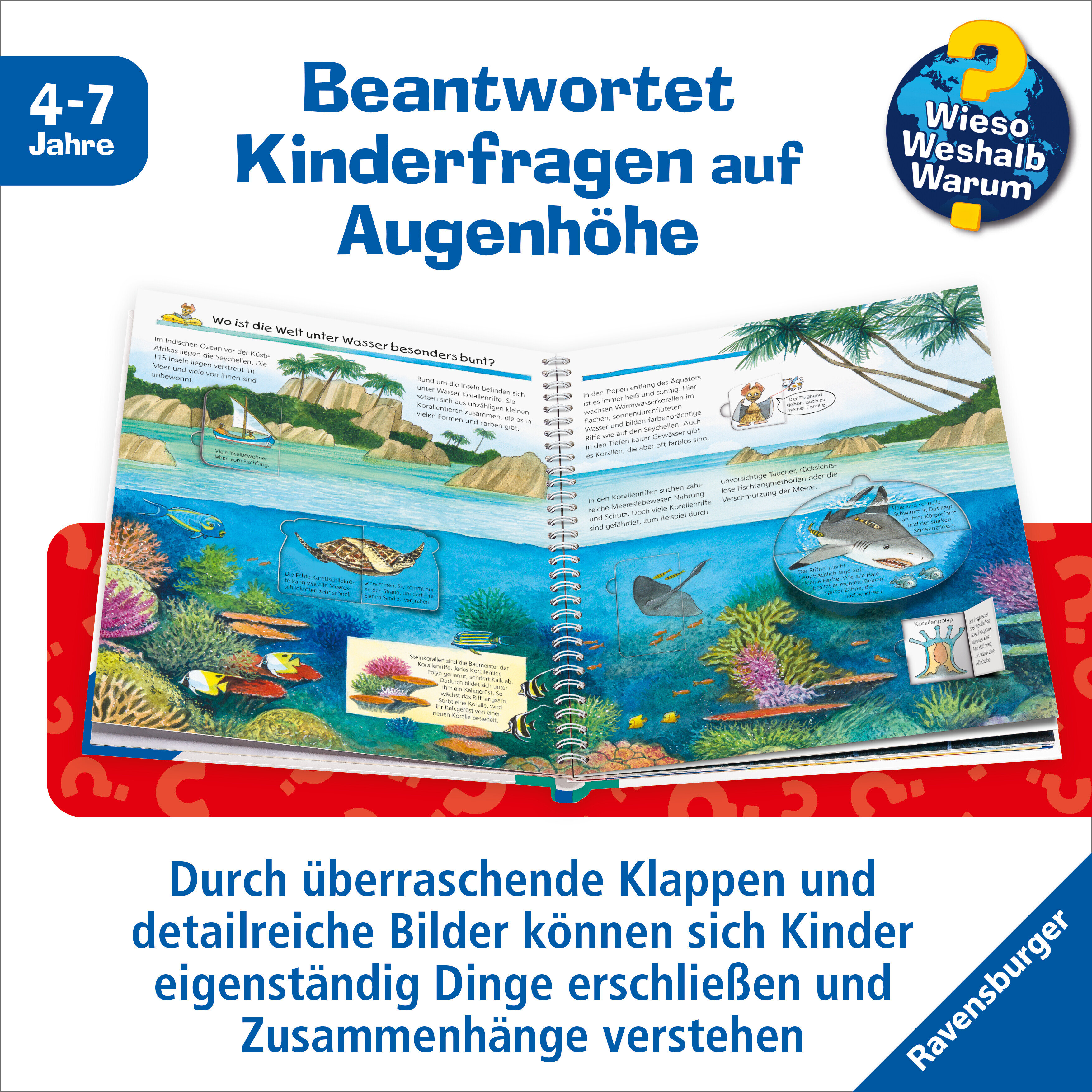 lesen