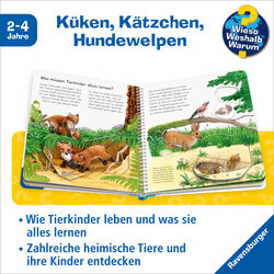 Innenansicht 1