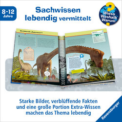 Innenansicht 2