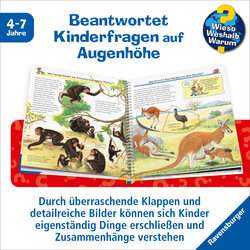 Innenansicht 2