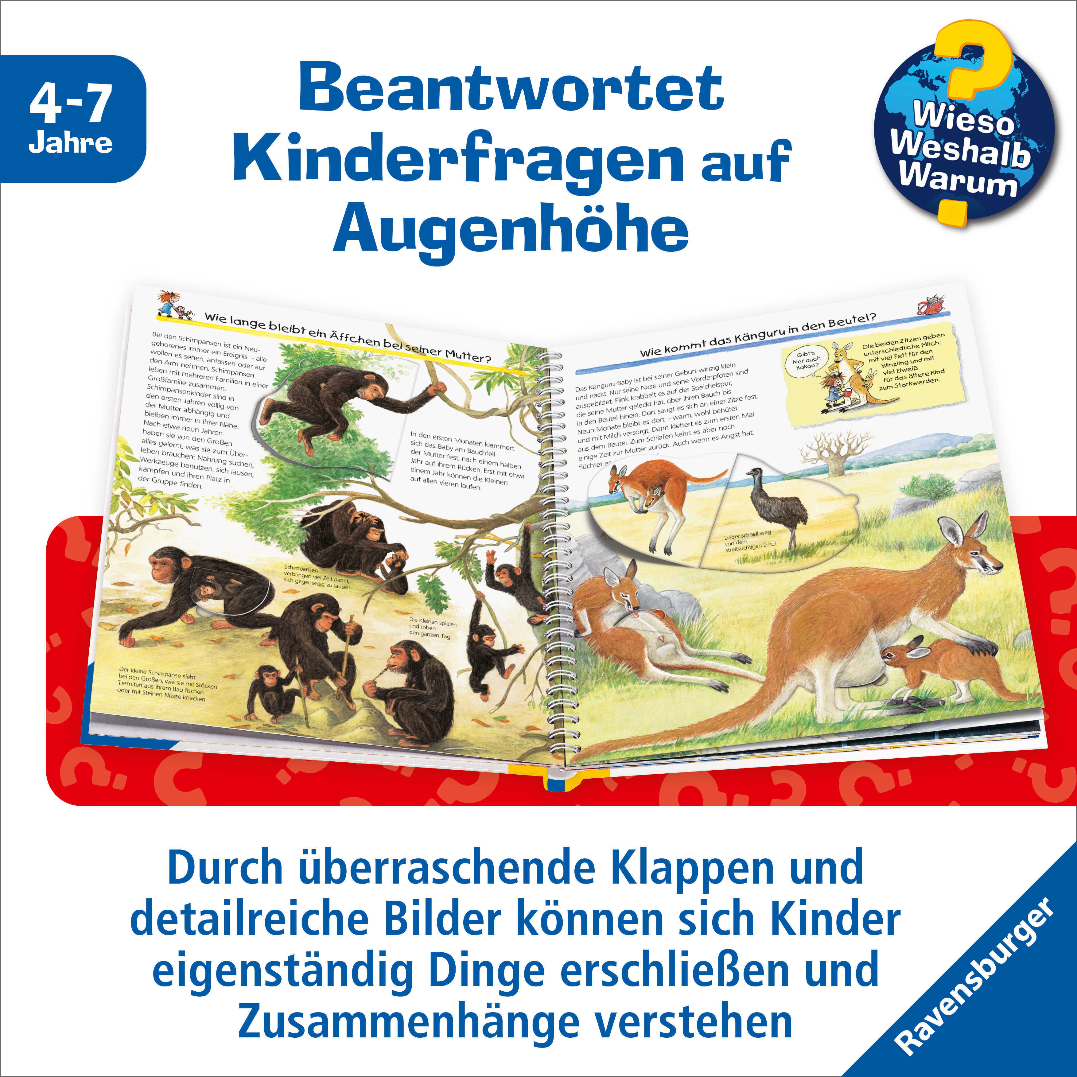 lesen