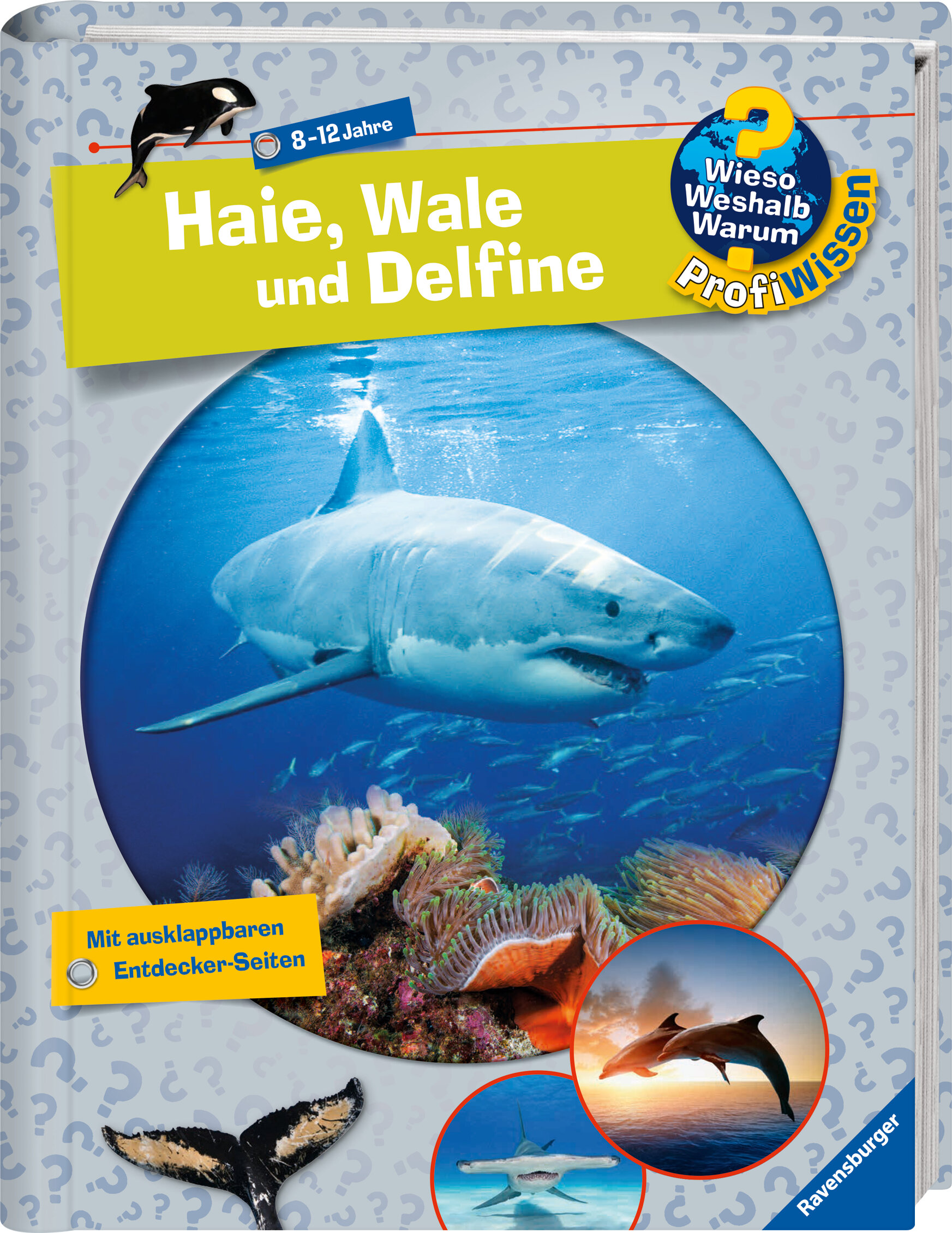 lesen