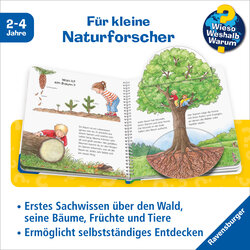 Innenansicht 1