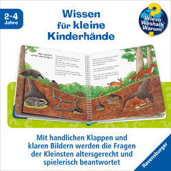 Innenansicht 2