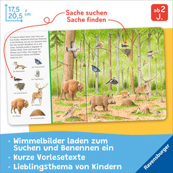 Innenansicht 1