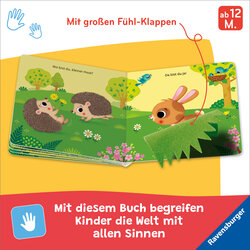 Innenansicht 2