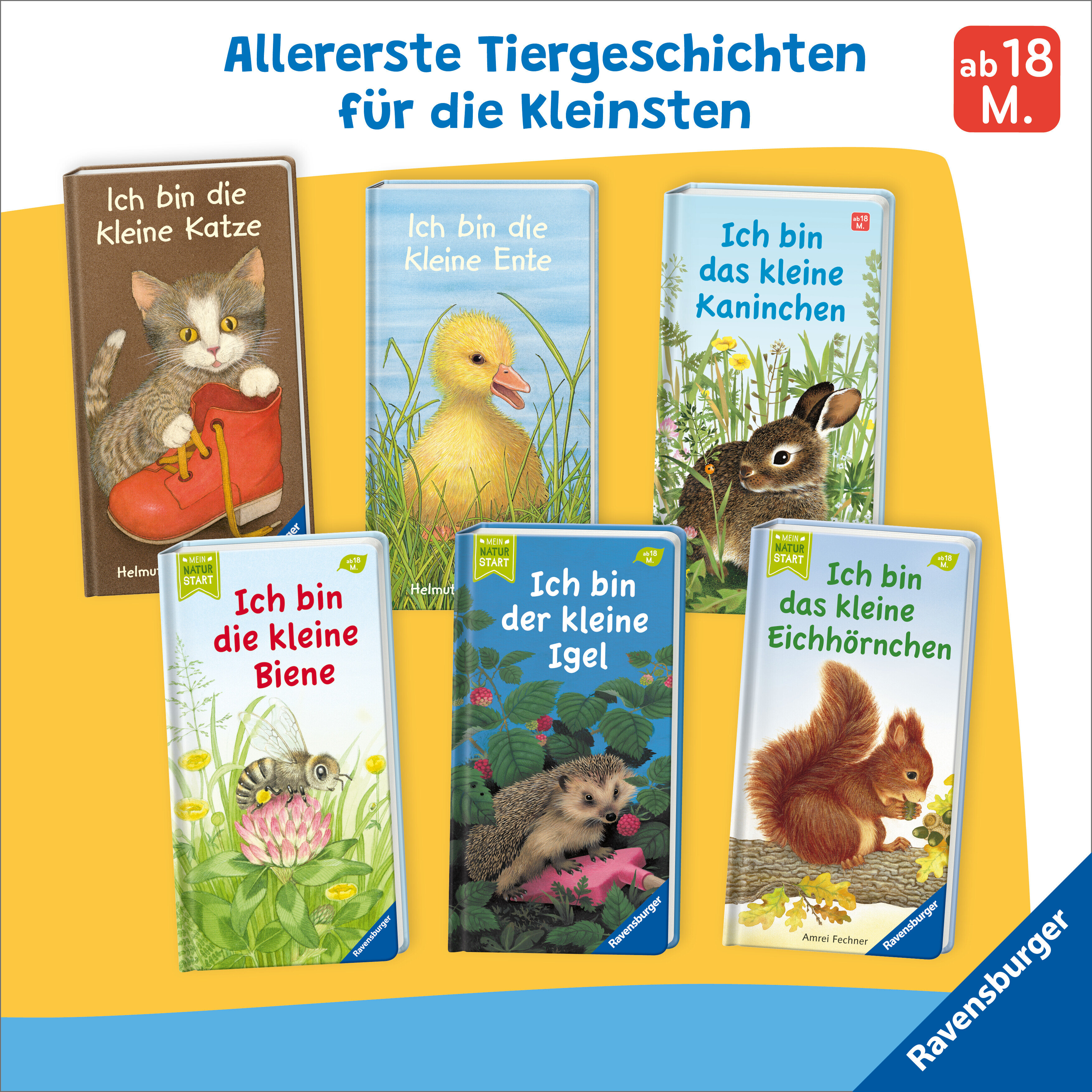 lesen