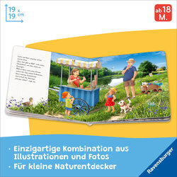 Innenansicht 1