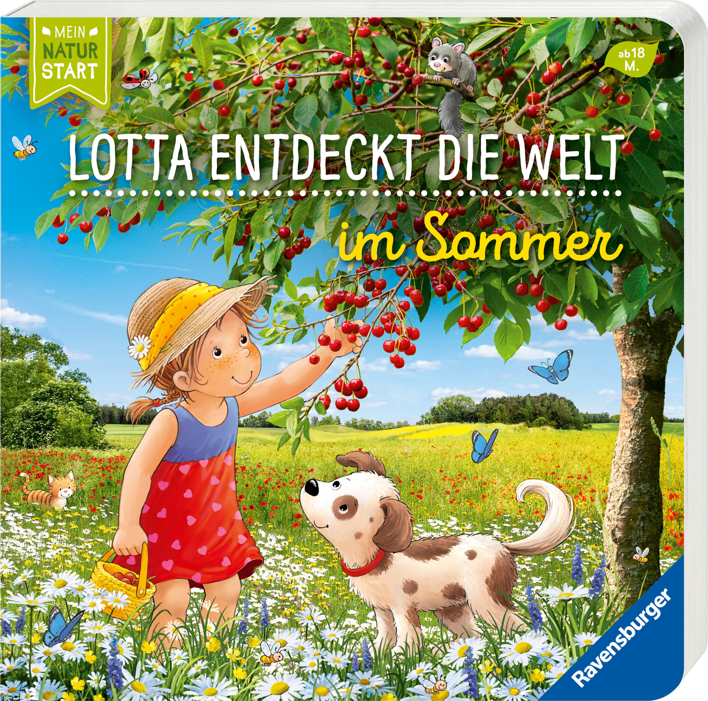 lesen