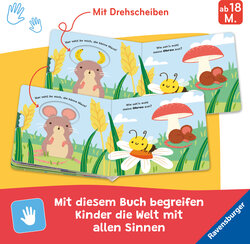 Innenansicht 3