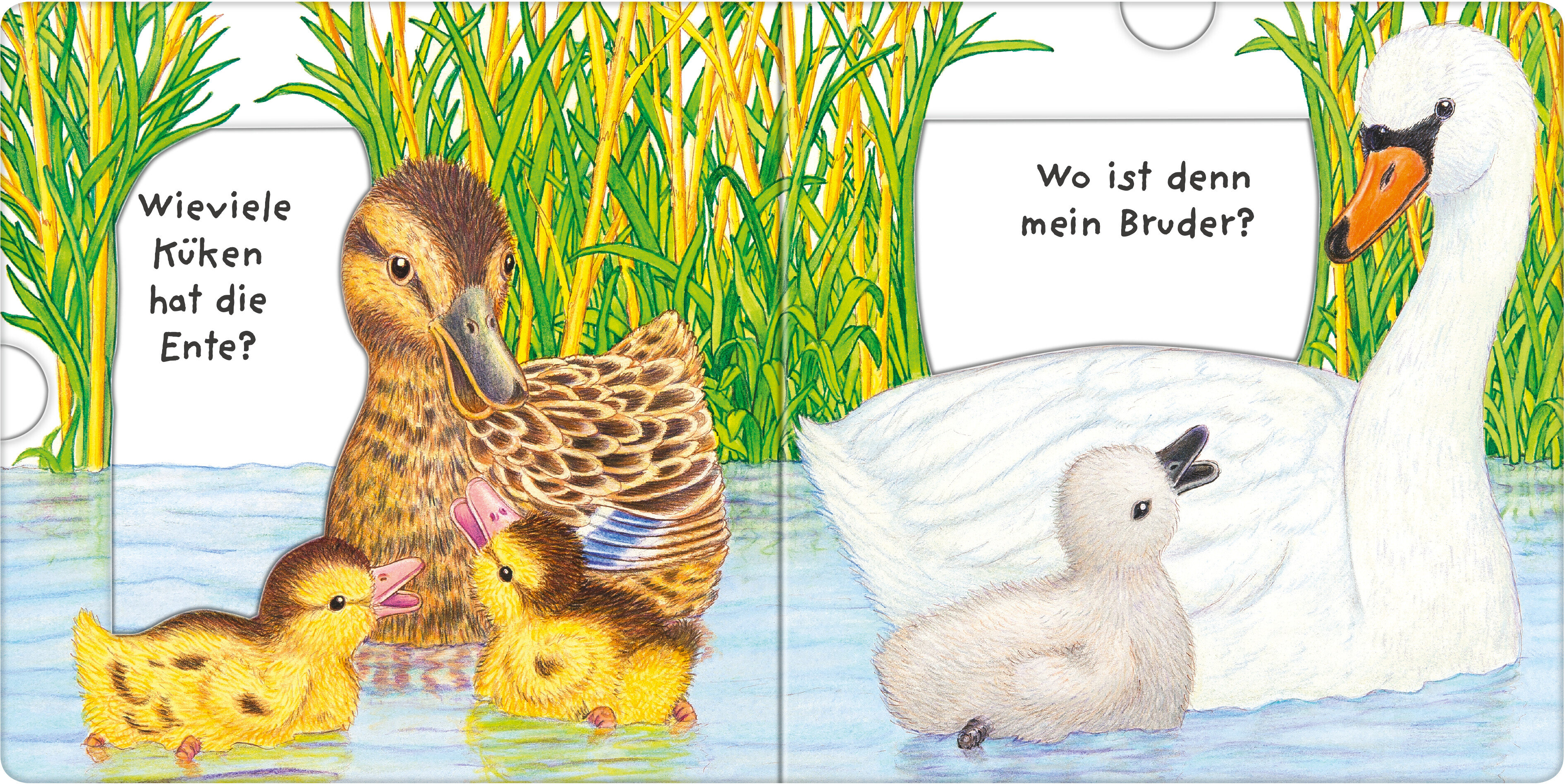 lesen