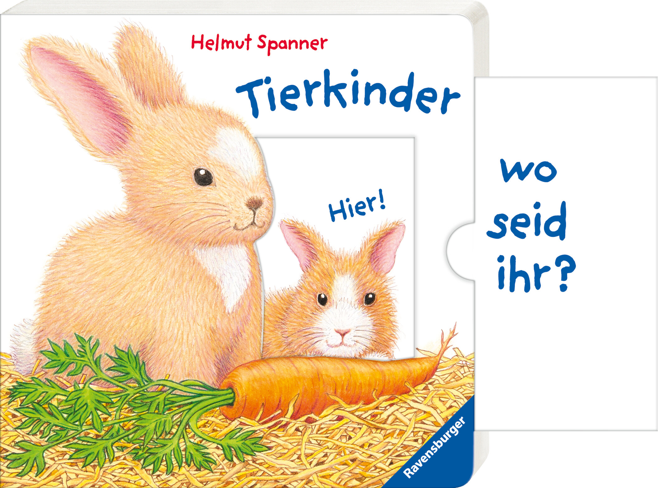 lesen