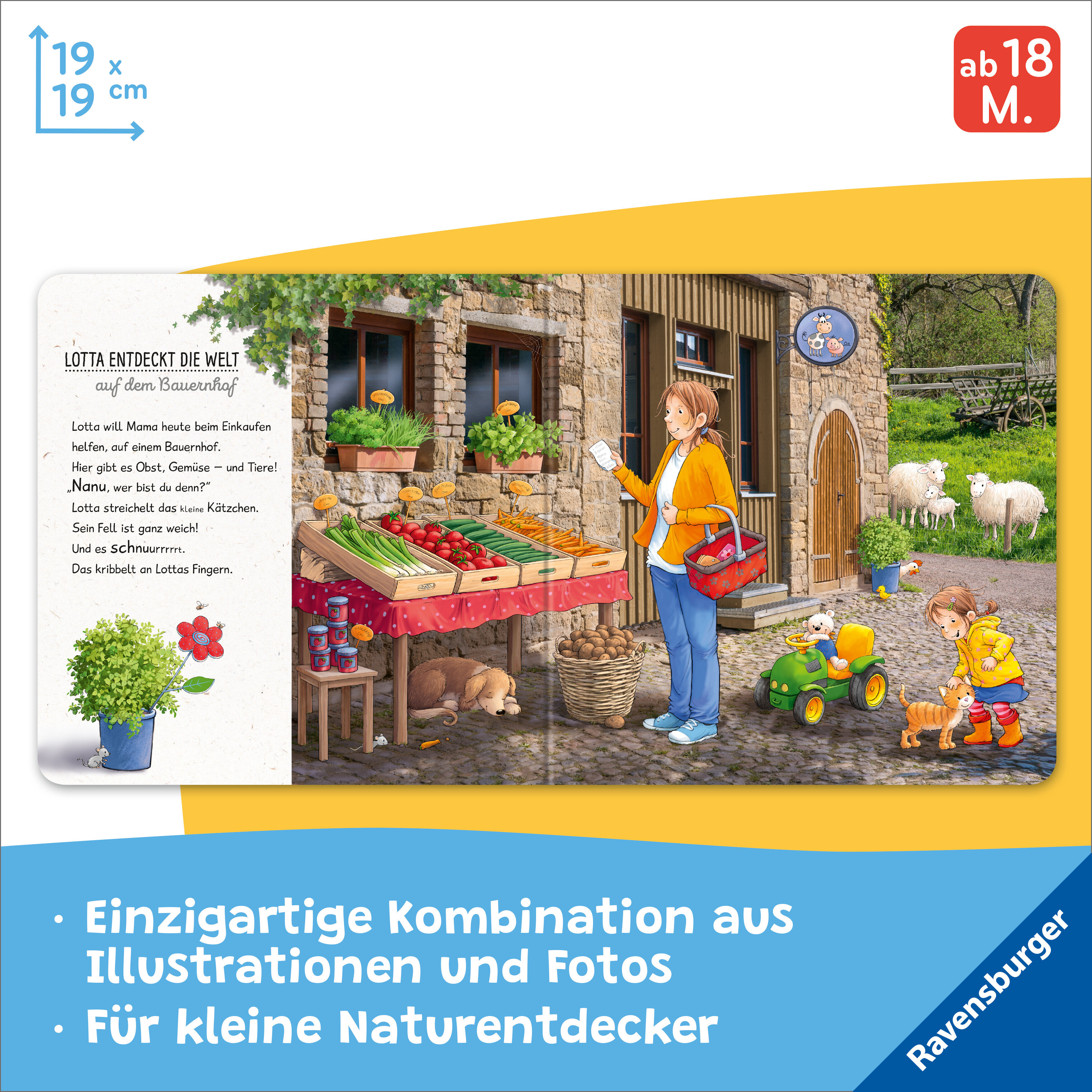 lesen