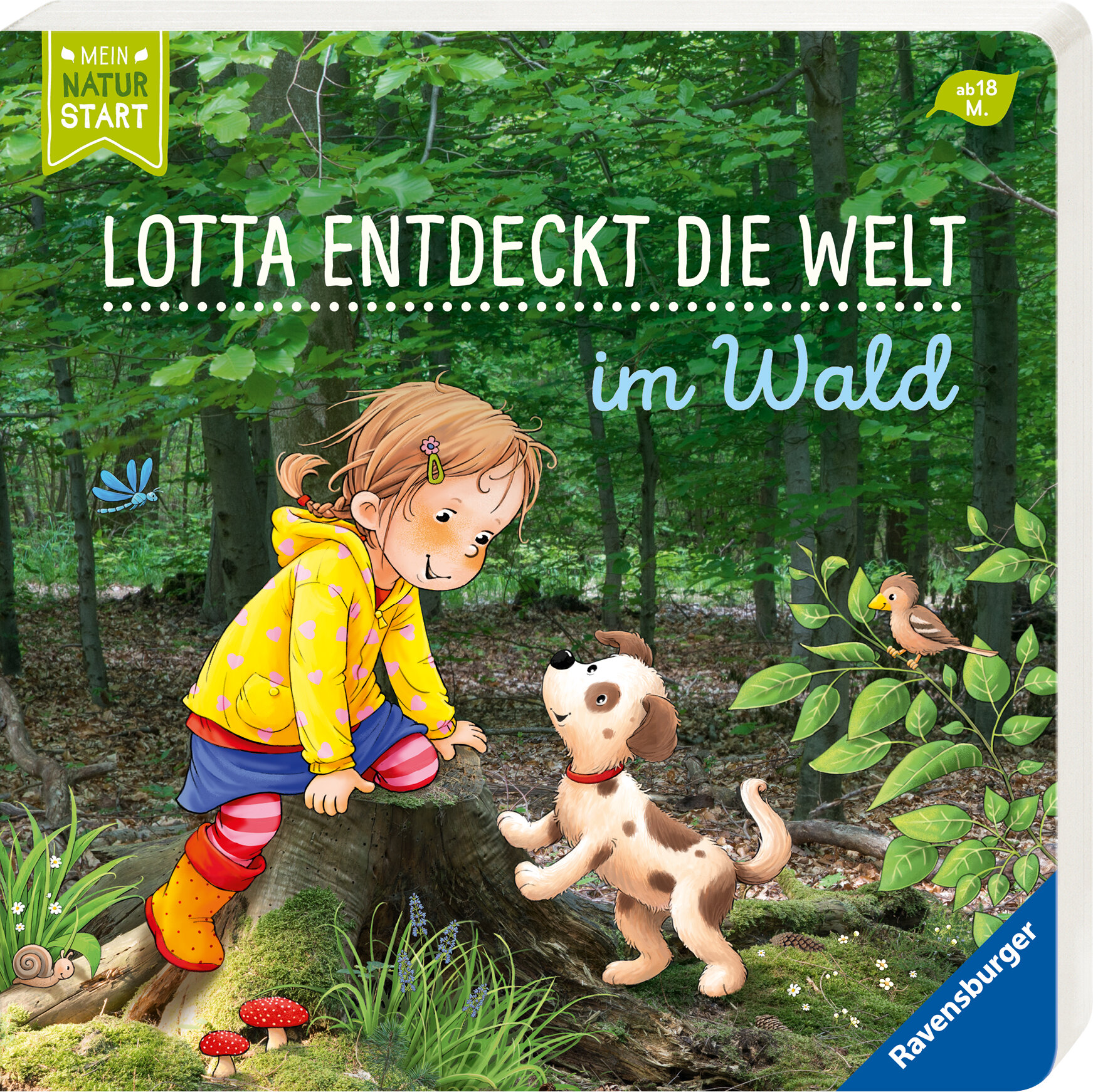 lesen