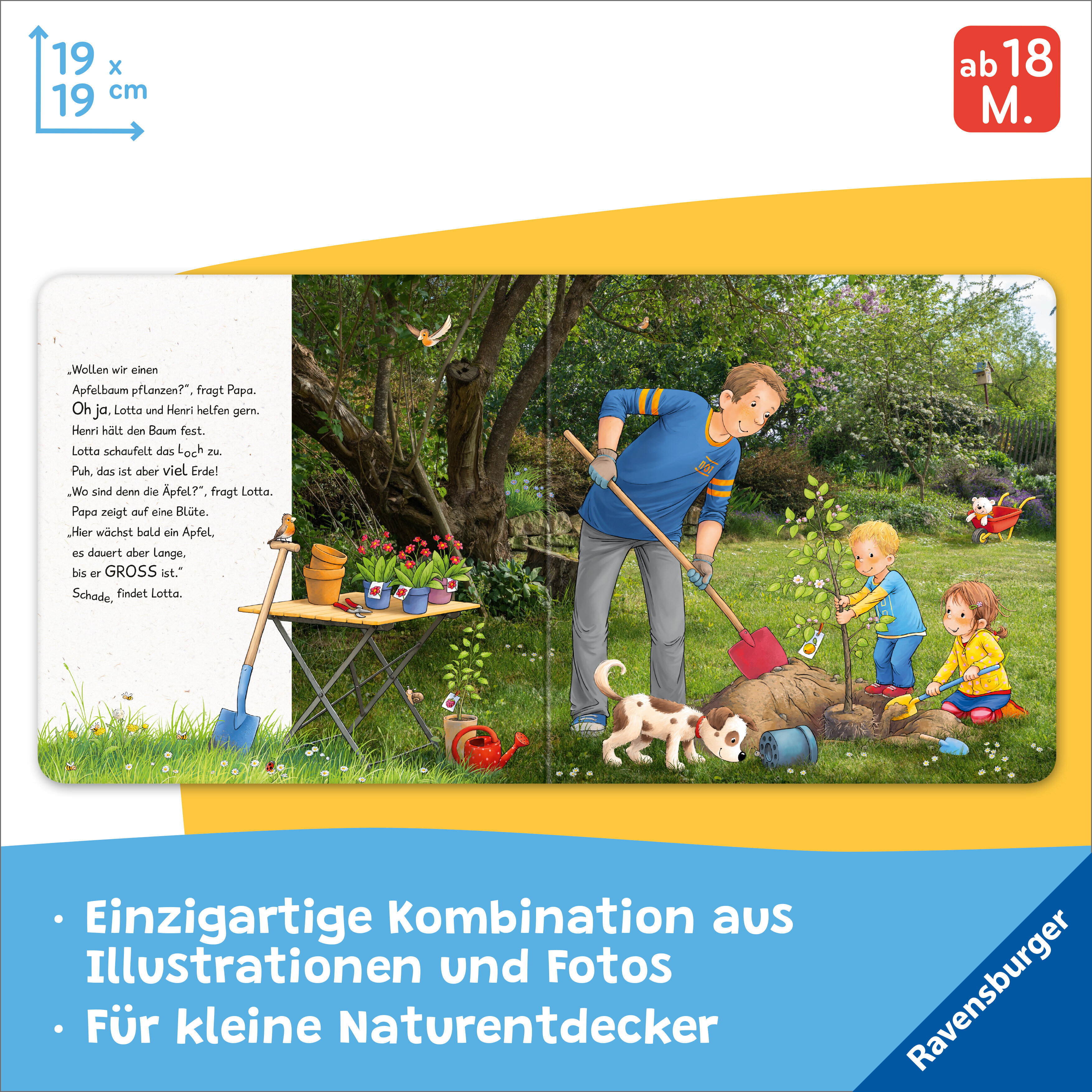 lesen